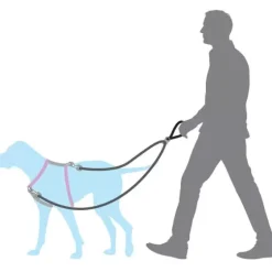PetSafe Colliers, Harnais Et Licols<Anti-Traction Pour Chien