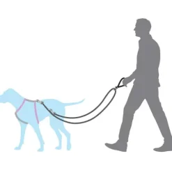 PetSafe Colliers, Harnais Et Licols<Anti-Traction Pour Chien