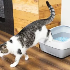 PetSafe Formation Interne & Nettoyage<Bac Liti Re Crystal Deluxe