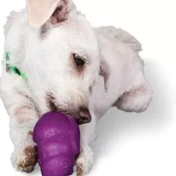 PetSafe Jouets Distributeurs De Friandises<Busy Buddy® Squirrel Dude