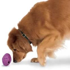 PetSafe Jouets Distributeurs De Friandises<Busy Buddy® Twist 'N Treat