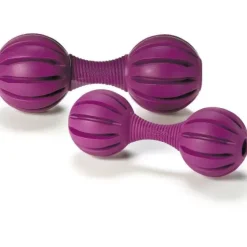 PetSafe Jouets Distributeurs De Friandises<Busy Buddy® Waggle