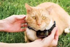 PetSafe Clôtures Anti-Fugue Avec Fil<Cl Ture Anti-Fugue De Luxe Avec Fil Pour Chats In-Ground Cat Fence