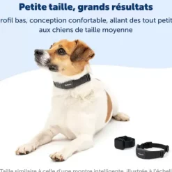 PetSafe Électrostatique<Collier Anti-Aboiement Nanobark