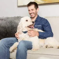PetSafe Sonore & Ultrasons<Collier Anti-Aboiement Signal Sonore