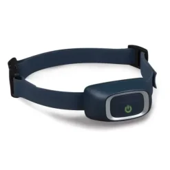 PetSafe Systèmes De Dressage<Collier-R Cepteur Suppl Mentaire Pour Syst Me De Dressage Add-A-Dog®