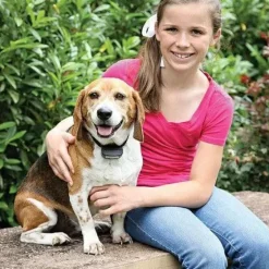 PetSafe Systèmes Anti-Fugue<Collier-R Cepteur Suppl Mentaire Rechargeable