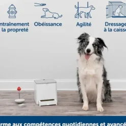PetSafe Clickers<Dispositif De Dressage Par R Compense T L Command Teach & Treat De ®