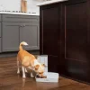 PetSafe Distributeurs De Nourriture<Distributeur Automatique De Croquettes Pour 2 Repas De ®