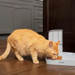 PetSafe Distributeurs De Nourriture<Distributeur Automatique De Croquettes Pour 2 Repas De ®