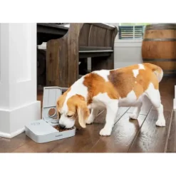 PetSafe Distributeurs De Nourriture<Distributeur Automatique De Croquettes Pour 2 Repas De ®