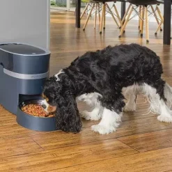 PetSafe Distributeurs De Nourriture<Distributeur De Croquettes Connect Smart Feed De ® Pour Chiens Et Chats