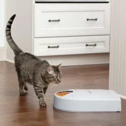 PetSafe Distributeurs De Nourriture<Distributeur De Croquettes Pour Cinq Repas ®