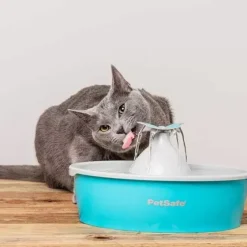 PetSafe Fontaines<Fontaine Eau Papillon Drinkwell® De Pour Animaux De Compagnie