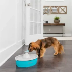 PetSafe Fontaines<Fontaine Eau Papillon Drinkwell® De Pour Animaux De Compagnie