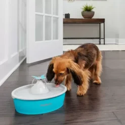 PetSafe Fontaines<Fontaine Eau Papillon Drinkwell® De Pour Animaux De Compagnie
