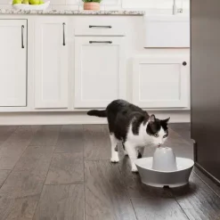 PetSafe Fontaines<Fontaine En C Ramique ® Pour Animaux De Compagnie Streamside