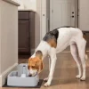 PetSafe Fontaines<Fontaine Pour Animaux De 3,7 Litres Drinkwell®