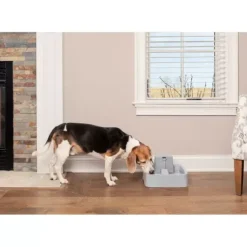 PetSafe Fontaines<Fontaine Pour Animaux De 3,7 Litres Drinkwell®