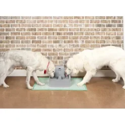PetSafe Fontaines<Fontaine Pour Animaux De 7,5 Litres Drinkwell®