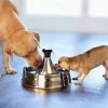 PetSafe Fontaines<Fontaine Pour Animaux De Compagnie En Acier Inoxydable 360 Drinkwell®
