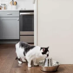 PetSafe Fontaines<Fontaine Pour Animaux De Compagnie En Acier Inoxydable 360 Drinkwell®