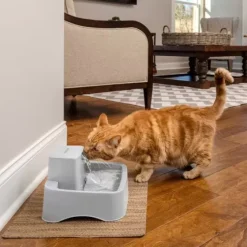 PetSafe Fontaines<Fontaine Pour Animaux De 1,8 Litres Drinkwell®