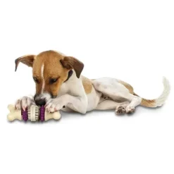 PetSafe Jouets Pour Animaux De Compagnie<Friandises De Forme Circulaire Pour Chiens