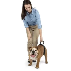 PetSafe Accès Et Mobilité<Harnais De Levage Arri Re Carelift De ®