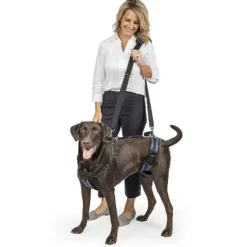 PetSafe Accès Et Mobilité<Harnais De Levage Carelift De ®