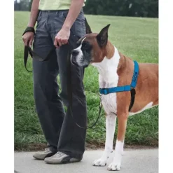 PetSafe Colliers, Harnais Et Licols<Harnais Deluxe Easy Walk®