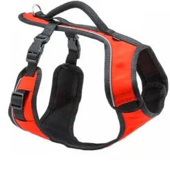 PetSafe Colliers, Harnais Et Licols<Harnais Easysport