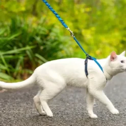PetSafe Colliers, Harnais Et Licols<Harnais Pour Chats Easy Walk