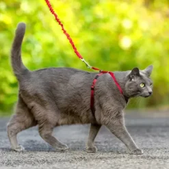 PetSafe Colliers, Harnais Et Licols<Harnais Pour Chats Easy Walk