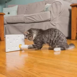 PetSafe Jouets Pour Chats<Jeu Casse-T Te Pour Chat Cheese