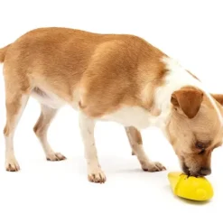 PetSafe Jouets Distributeurs De Friandises<Jouet Friandises Congelable Pour Chiens Frosty Cone