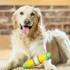 PetSafe Jouets Distributeurs De Friandises<Jouet Friandises Cravin' Corncob Pour Chien