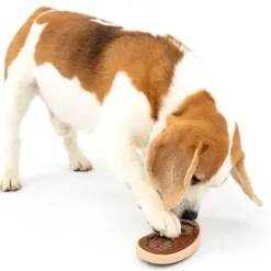 PetSafe Jouets Distributeurs De Friandises<Jouet Friandises, Steak