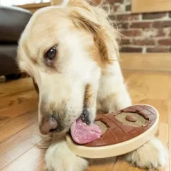 PetSafe Jouets Distributeurs De Friandises<Jouet Friandises, Steak