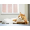 PetSafe Jouets Pour Chats<Jouet Terrier Du Renard Jeu Casse-T Te Automatique Pour Chats