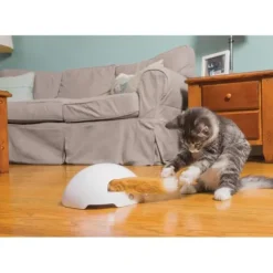 PetSafe Jouets Pour Chats<Jouet Terrier Du Renard Jeu Casse-T Te Automatique Pour Chats