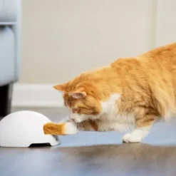 PetSafe Jouets Pour Chats<Jouet Terrier Du Renard Jeu Casse-T Te Automatique Pour Chats