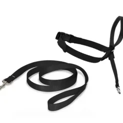 PetSafe Colliers, Harnais Et Licols<Licol Easy Walk®