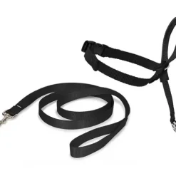 PetSafe Colliers, Harnais Et Licols<Licol Easy Walk®