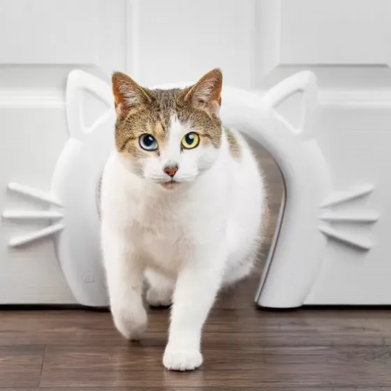 PetSafe Chats<Passage Pour Chat Cat Corridor