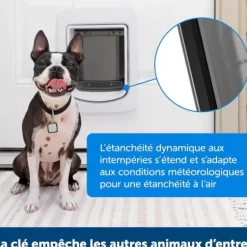 PetSafe Gros Chats/Petits Chiens<Porte Connect E Pour Animaux Smartdoor