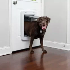 PetSafe Gros Chats/Petits Chiens<Porte Connect E Pour Animaux Smartdoor
