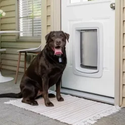 PetSafe Chiens Moyens<Porte Connect E Pour Animaux Smartdoor