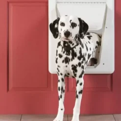 PetSafe Chiens Moyens<Porte Lectronique Pour Animaux Smartdoor (Grand)