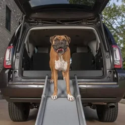 PetSafe Voyage En Voiture<Rampe T Lescopique Compacte Pour Chiens Happy Ride De ®